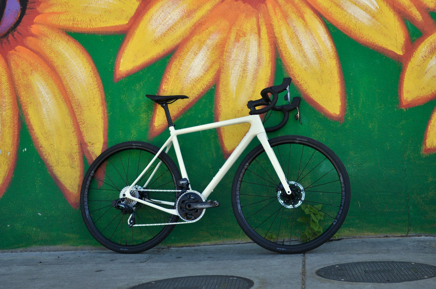 Specialized San Diego